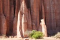 Gothic Cathedral Rock Formation - Talampaya National Park - Argentina Royalty Free Stock Photo