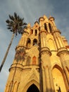 Gothic church with Palm tree at sunset San Miguel de Allende Guanajuato Mexico Parroquia Royalty Free Stock Photo