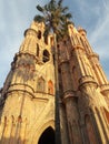 Gothic church with Palm tree at sunset San Miguel de Allende Guanajuato Mexico Parroquia Royalty Free Stock Photo