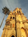 Gothic church with Palm tree at sunset San Miguel de Allende Guanajuato Mexico Parroquia Royalty Free Stock Photo