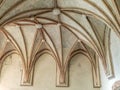 Gothic cloister canopy of Malbork castle in Poland Royalty Free Stock Photo