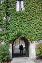 Gothic college building Royalty Free Stock Photo