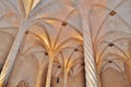 Gothic colums and arches