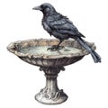 Gothic crow on a fountaine watercolor illustration