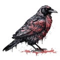 Gothic crow watercolor illustration