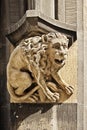 Gothic figure of lion on Town Hall in Marienplatz, Munich, Germany Royalty Free Stock Photo