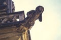 Gothic gargoyle on St Vitus Cathedra Royalty Free Stock Photo