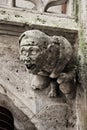 Gothic gargoyle on Town Hall in Marienplatz, Munich, Germany Royalty Free Stock Photo