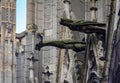 Gothic gargoyles covered with moss on the facade of famous Notre Dame de Paris Cathedral in Paris France with rain drops falling Royalty Free Stock Photo