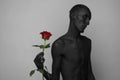 Gothic and Halloween theme: a man with black skin holding a red rose, black death on a gray background in studio Royalty Free Stock Photo