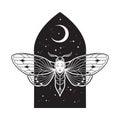 Gothic moth with face over night sky with crescent moon hand drawn line art gothic tattoo design isolated vector illustration