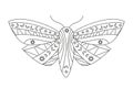 Gothic Moth silhouette in outline style. Beauty night Butterfly. Abstract vector illustration isolated on white