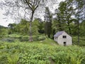 Gothic pumphouse and pond