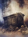 Gothic sarcophagus on a pile of bones Royalty Free Stock Photo