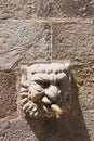 Gothic stone head of Fontain of the Church in Solsona, Lleida,Catalonia, Spain