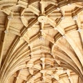 Gothic stone vaulting