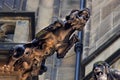 Gothic style Gargoyle on St Vitus` Cathedral Prague Royalty Free Stock Photo