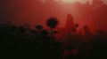 Gothic Sunflower: A Dark And Moody Uhd Image With Luminist Landscapes