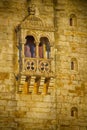 Gothic window Royalty Free Stock Photo