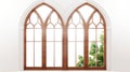 Gothic Window Illustration In White And Brown With Nature Emphasis