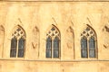 Gothic windows