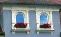 Gothic windows with ornaments and red gerania Royalty Free Stock Photo