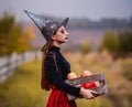 Gothic young girl holding pumpkins box Royalty Free Stock Photo