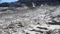 Gottesacker plateau, Kleinwalsertal region, Austria