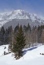 Gotthard massif in the winter Royalty Free Stock Photo