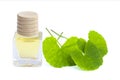 Gotu Kola leaves Asiatic pennywort, Indian pennywort, Centella asiatica and bottle of essential oil extract isolated on white