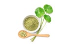 Gotu kola centella asiatica powder with capsules Royalty Free Stock Photo