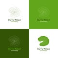 Gotu kola icon logotype set. Cica logo vector illustration. Green centella asiatica leaf for organic cosmetic, natural Royalty Free Stock Photo