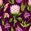 Gouache exotic floral seamless pattern with Protea, Calla, Anthurium and Fuchsia flower on a dark pink background