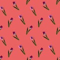 Gouache floral tulip backgraund. Seamless colorful spring pattern. Painted violet tulip plant on coral background. Purple blossom