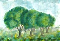 Gouache landscape with summer trees.