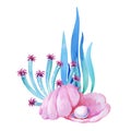 Gouache pink shell with sea anemone and aglae. Hand-drawn clipart for art work and weddind design