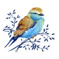 Gouache turquoise-beige bird on a branch. Natural cliparts for art work and wedding design