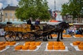 Gouda Cheese Market Royalty Free Stock Photo