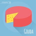 Gouda cheese vector icon