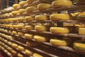 Gouda cheese wheels on shelves in a shop