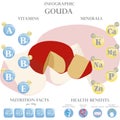 Gouda nutrition facts and health benefits infographic