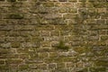 Gouda, South Holland/the Netherlands - March 1 2020: Old worn part of a brick wall from a building looking all green due to the