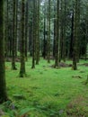 Gougane Barra Forest Park