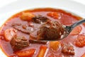 Goulash soup