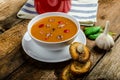 Goulash soup with crispy garlic toast Royalty Free Stock Photo