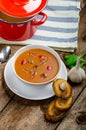 Goulash soup with crispy garlic toast Royalty Free Stock Photo