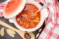 Goulash is a traditional Hungarian dish of stewed beef Royalty Free Stock Photo