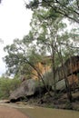 The Goulburn River and Gum Trees