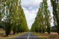 Gould Memorial Drive between Buxton and Marysville in Victoria, Australia Royalty Free Stock Photo