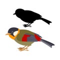 Gouldian Finch vector illustration flat style black Royalty Free Stock Photo